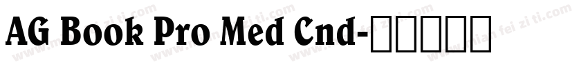 AG Book Pro Med Cnd字体转换